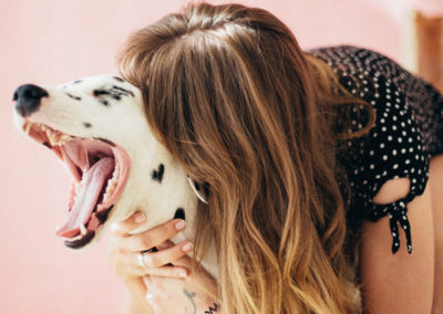Dalmatian owner love | Drain Terrier