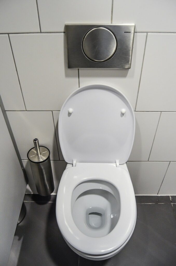 toilet install | Drain Terrier