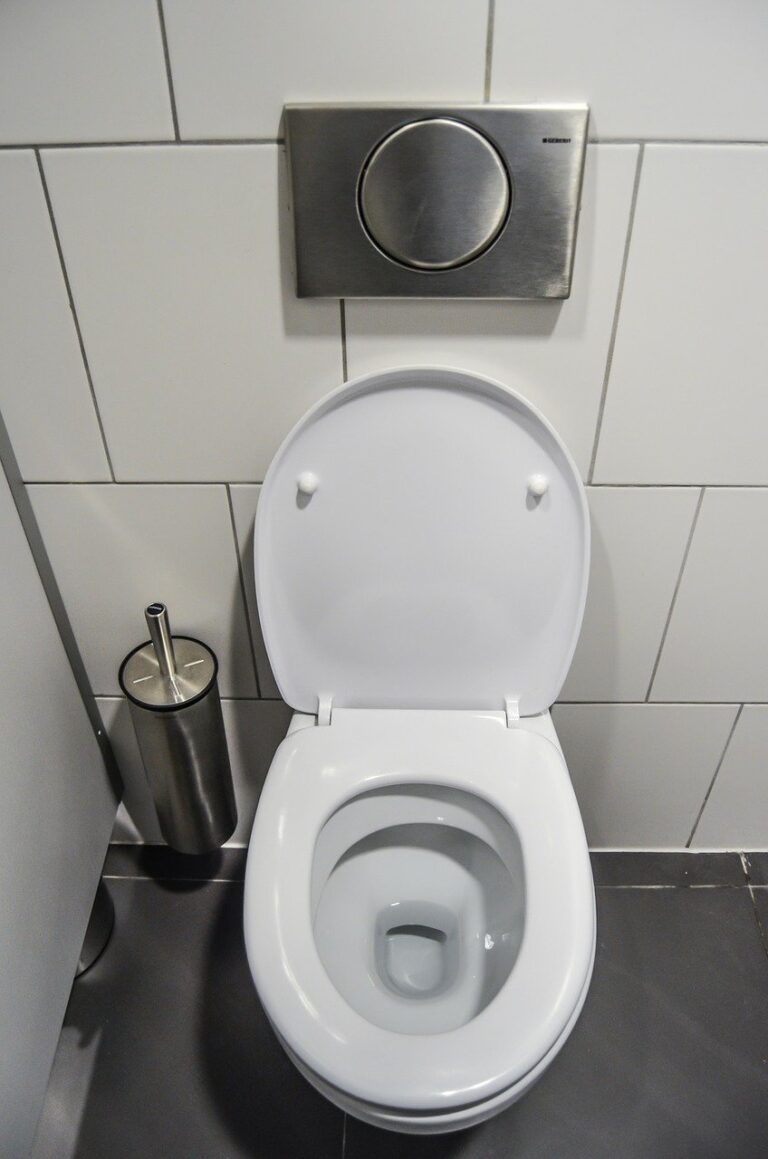 toilet install | Drain Terrier