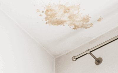 How to Detect a Hidden Water Leak Before It Causes Major Damage